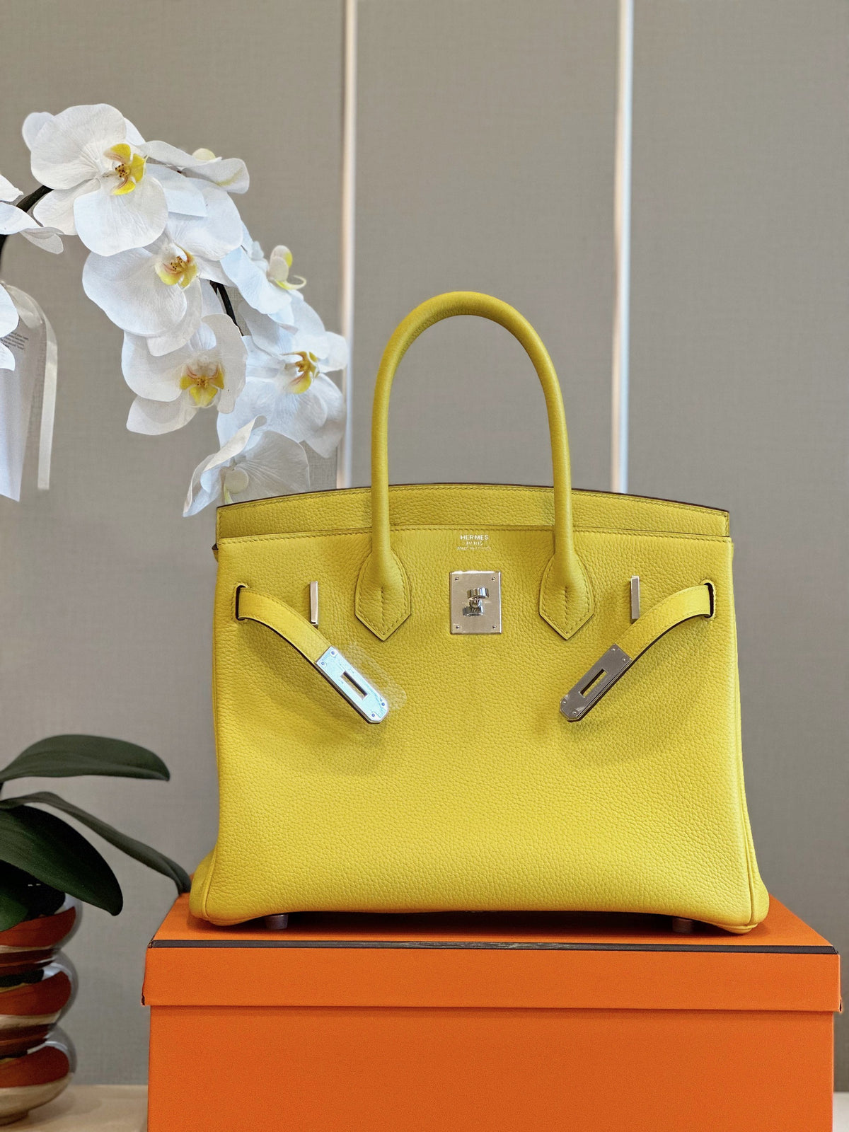 HN 30 Amber Yellow Palladium Hardware