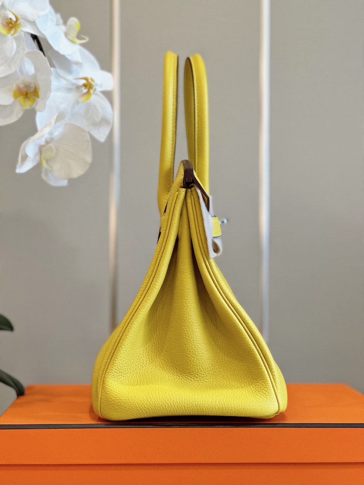 HN 30 Amber Yellow Palladium Hardware