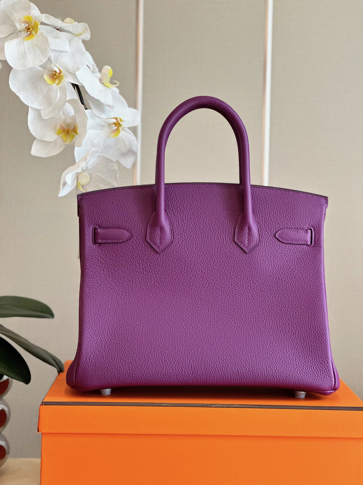 HN Birkin 30 Purple Palladium Hardware
