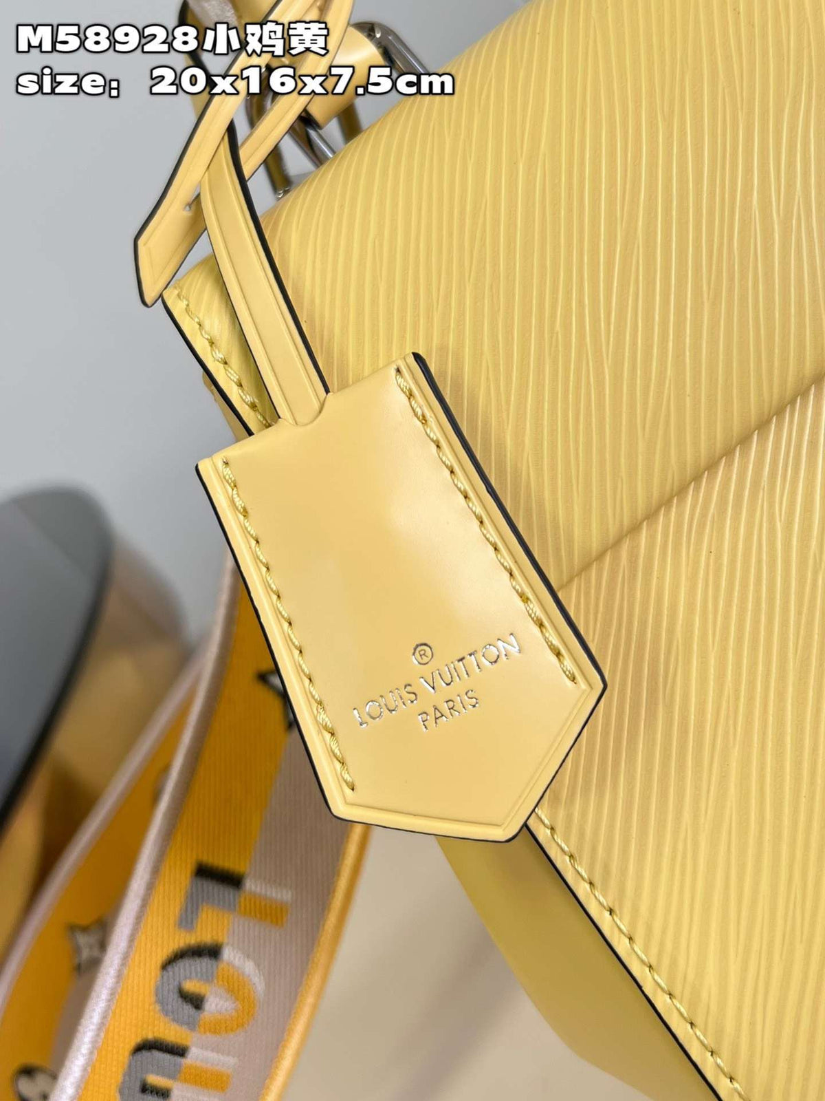 Louis Vuitton Clunny Yellow Raised Pattern 20x16cm