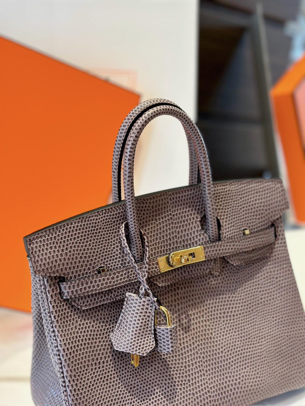 HN 25 Tris Fonce Genuine Lizard Leather Palladium Hardware