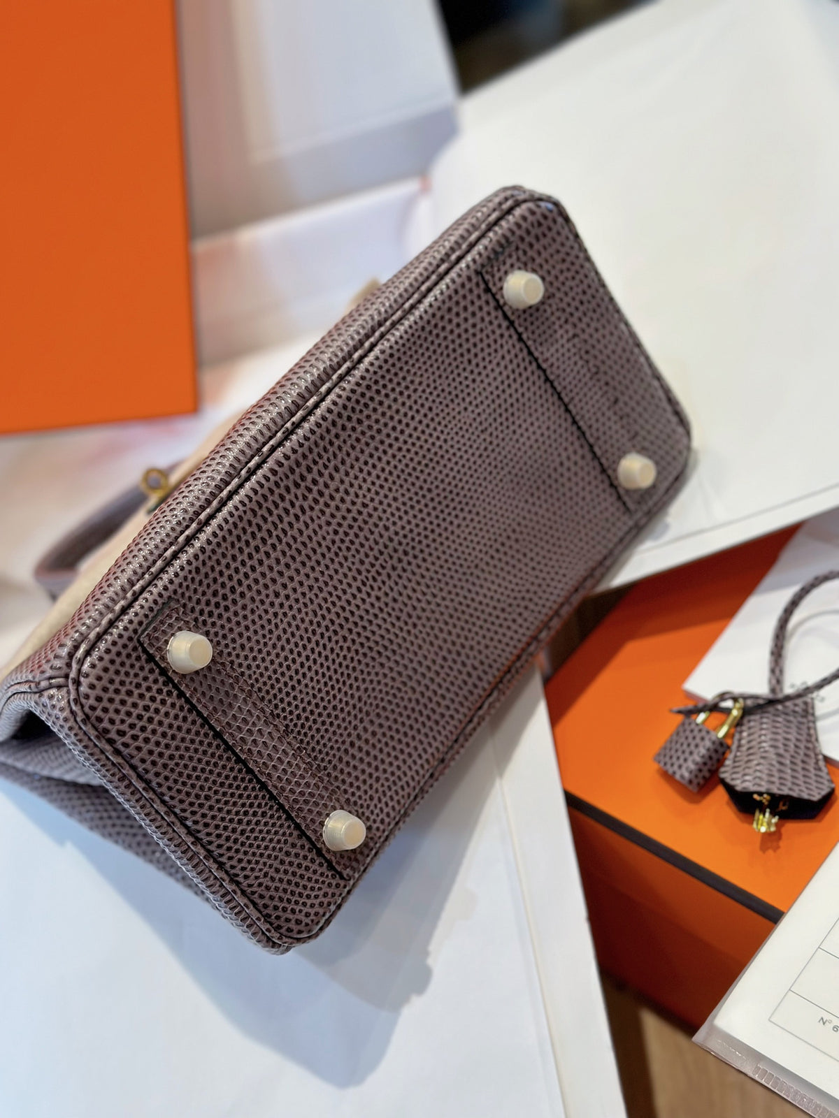 HN 25 Tris Fonce Genuine Lizard Leather Gold Hardware