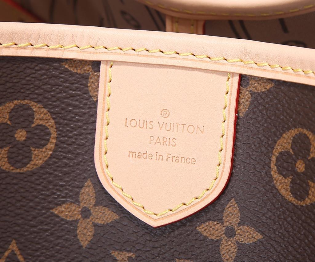 Louis Vuitton Monogram Delightful PM shoulder bag