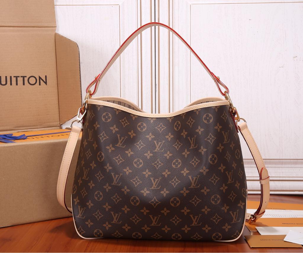 Louis Vuitton Monogram Delightful PM shoulder bag