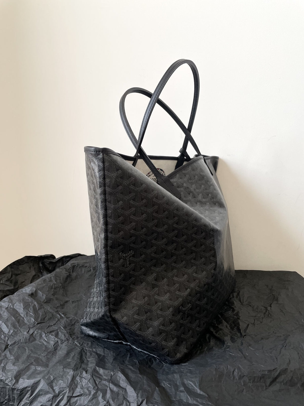 Goyard Black Goyardine Saint Louis PM Leather