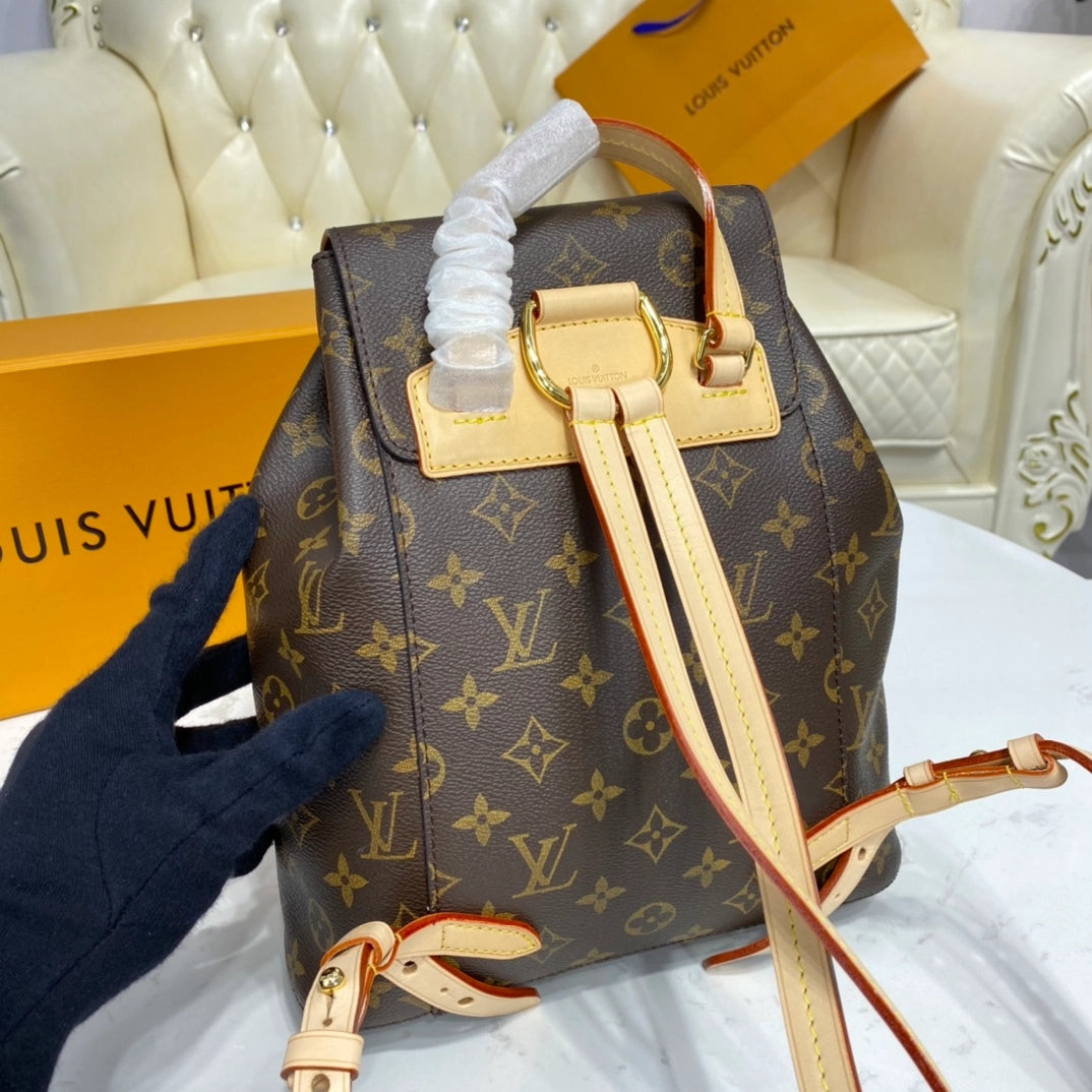 Louis Vuitton Montsouris PM backpack