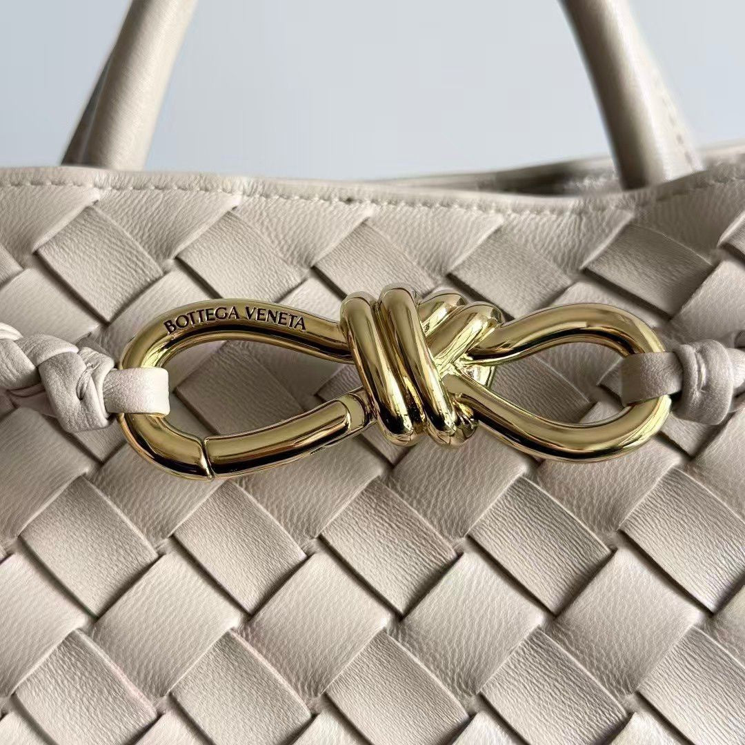 Bottega Veneta Small Andiamo top handle bag i