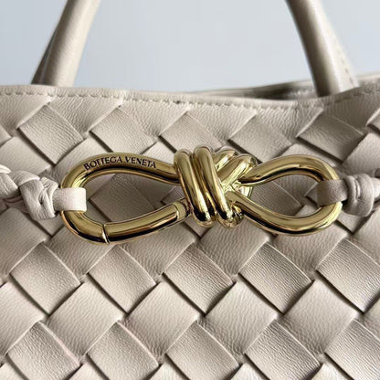 Bottega Veneta Small Andiamo top handle bag i