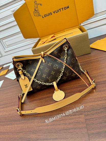 LV Carryall BB Monogram Handbag