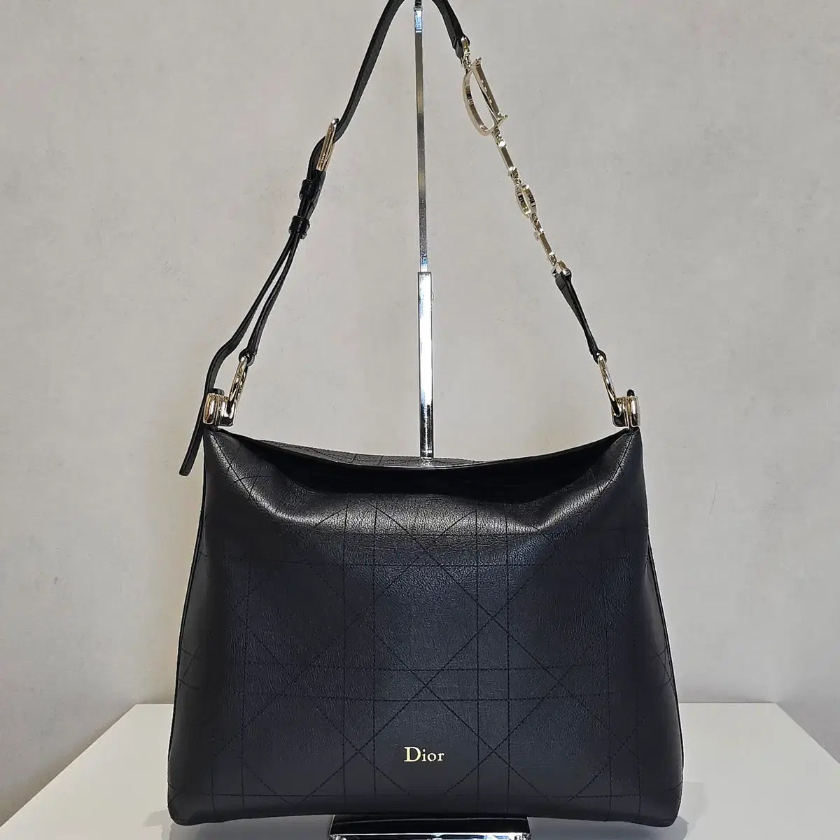Diorly Bag