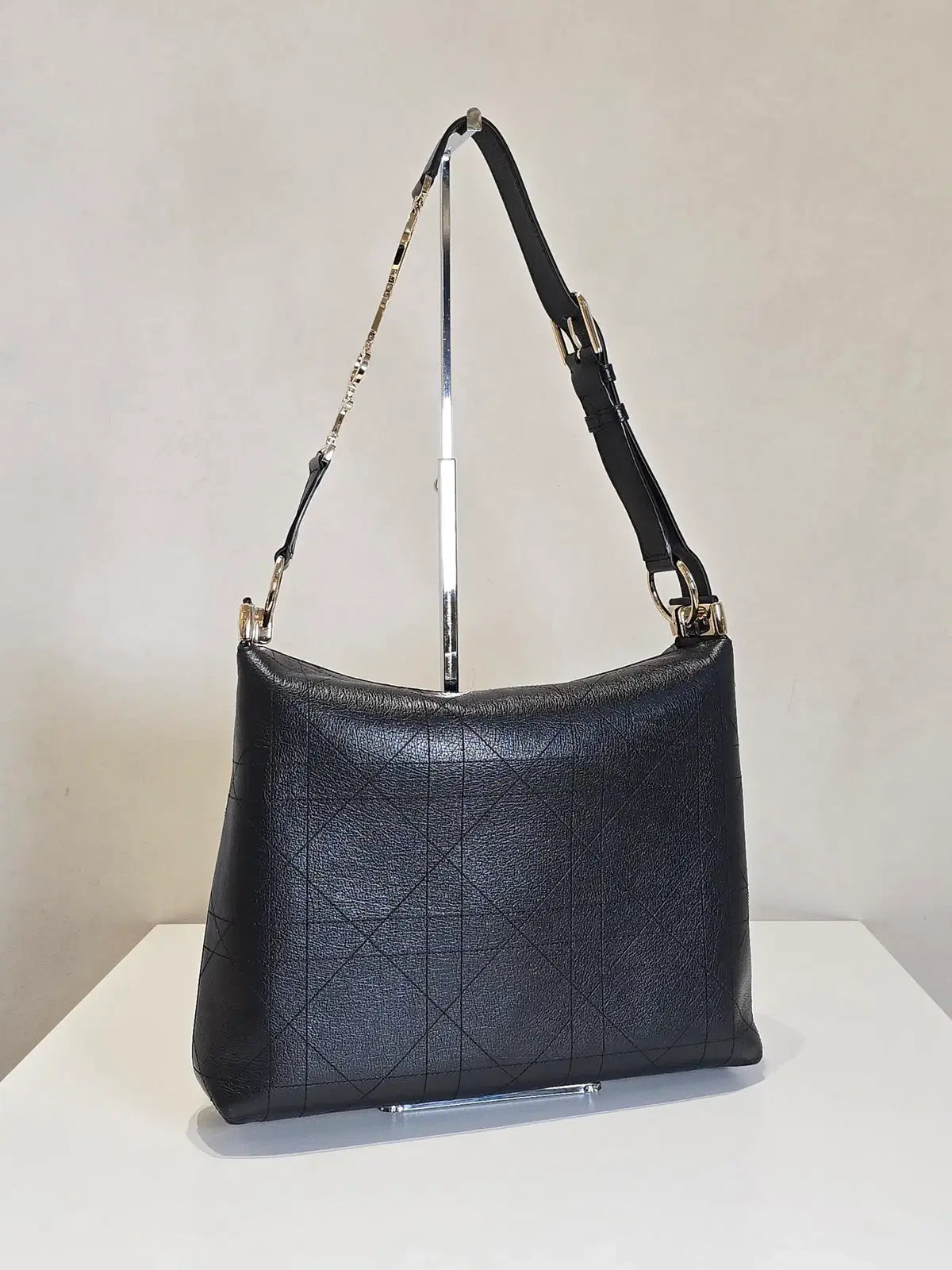 Diorly Bag