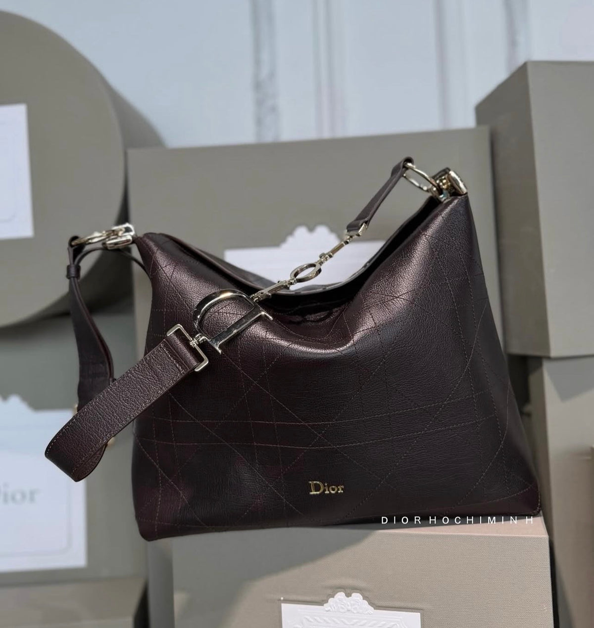 Diorly Bag in Brown