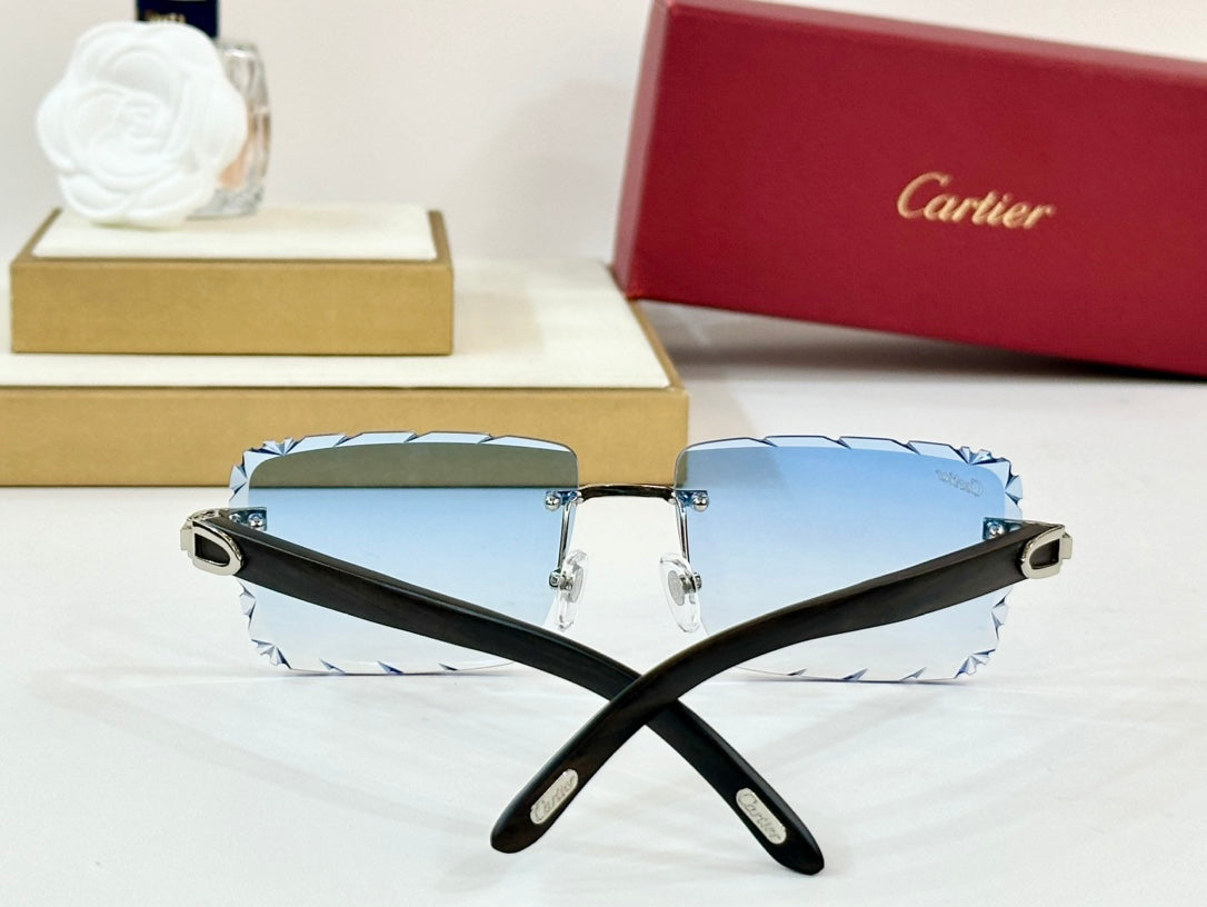 C DE RIMLESS RECTANGULAR FRAME SUNGLASSES 556093 IN METAL