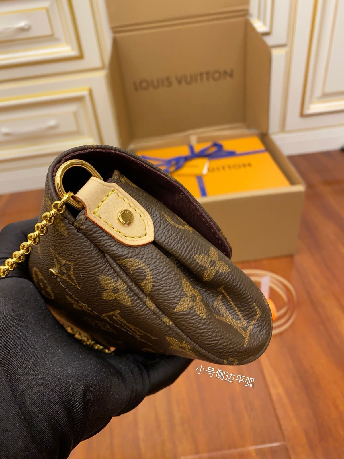 Louis Vuitton Favorite Monogram PM (Petite Modèle) bag