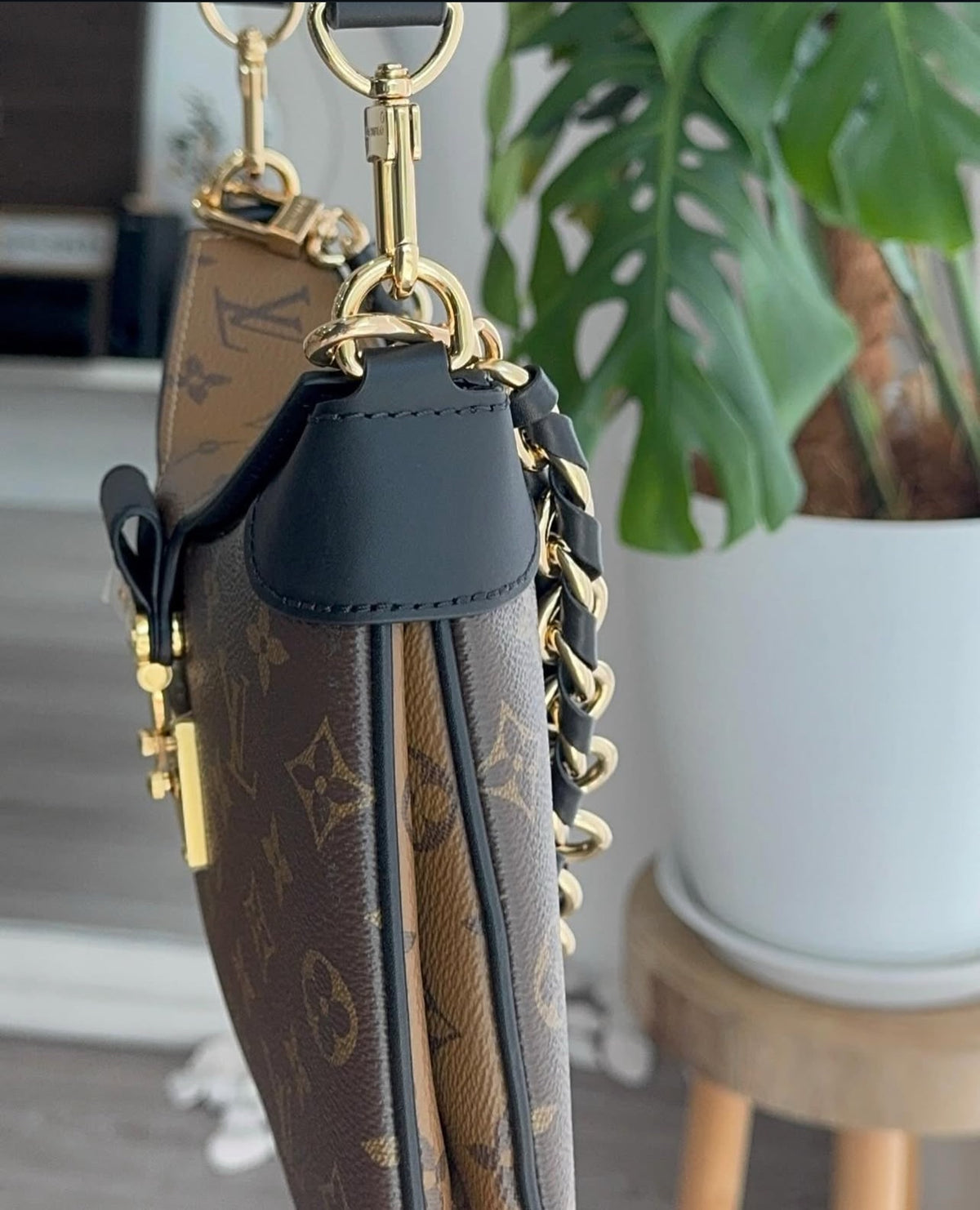 Louis Vuitton LV Twinny bag in Monogram