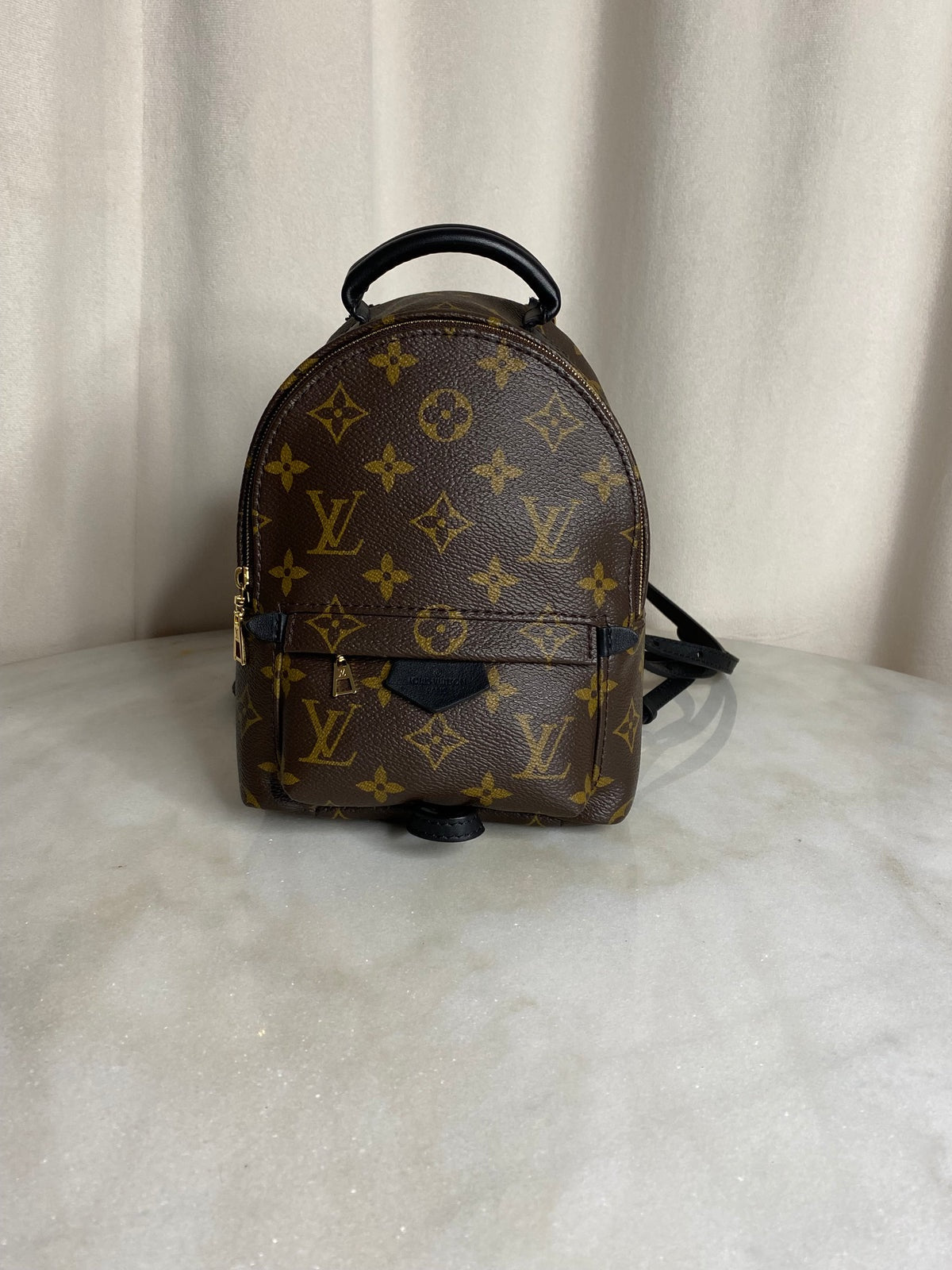 Louis Vuitton Palm Springs Mini backpack in monogram canvas