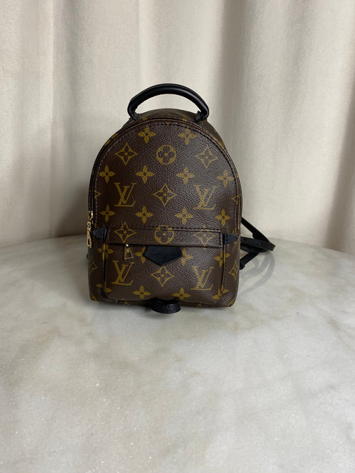 Louis Vuitton Palm Springs Mini backpack in monogram canvas