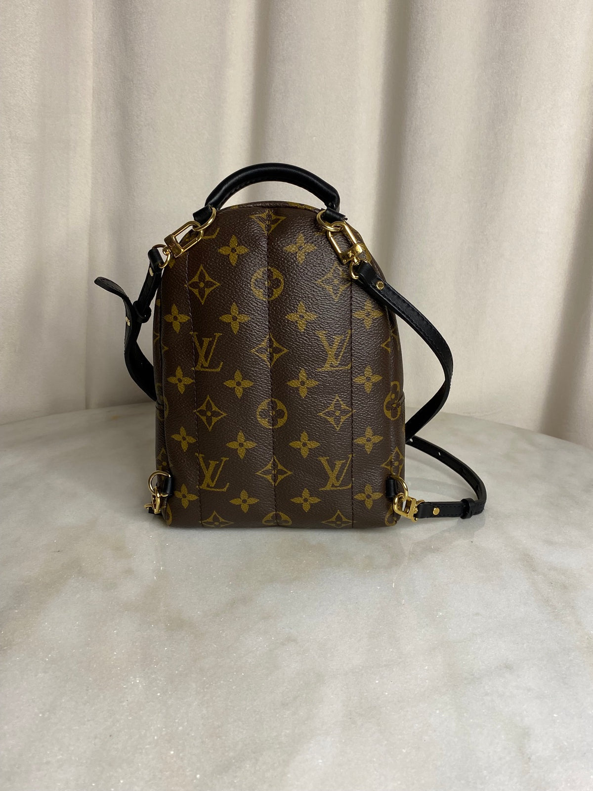 Louis Vuitton Palm Springs Mini backpack in monogram canvas