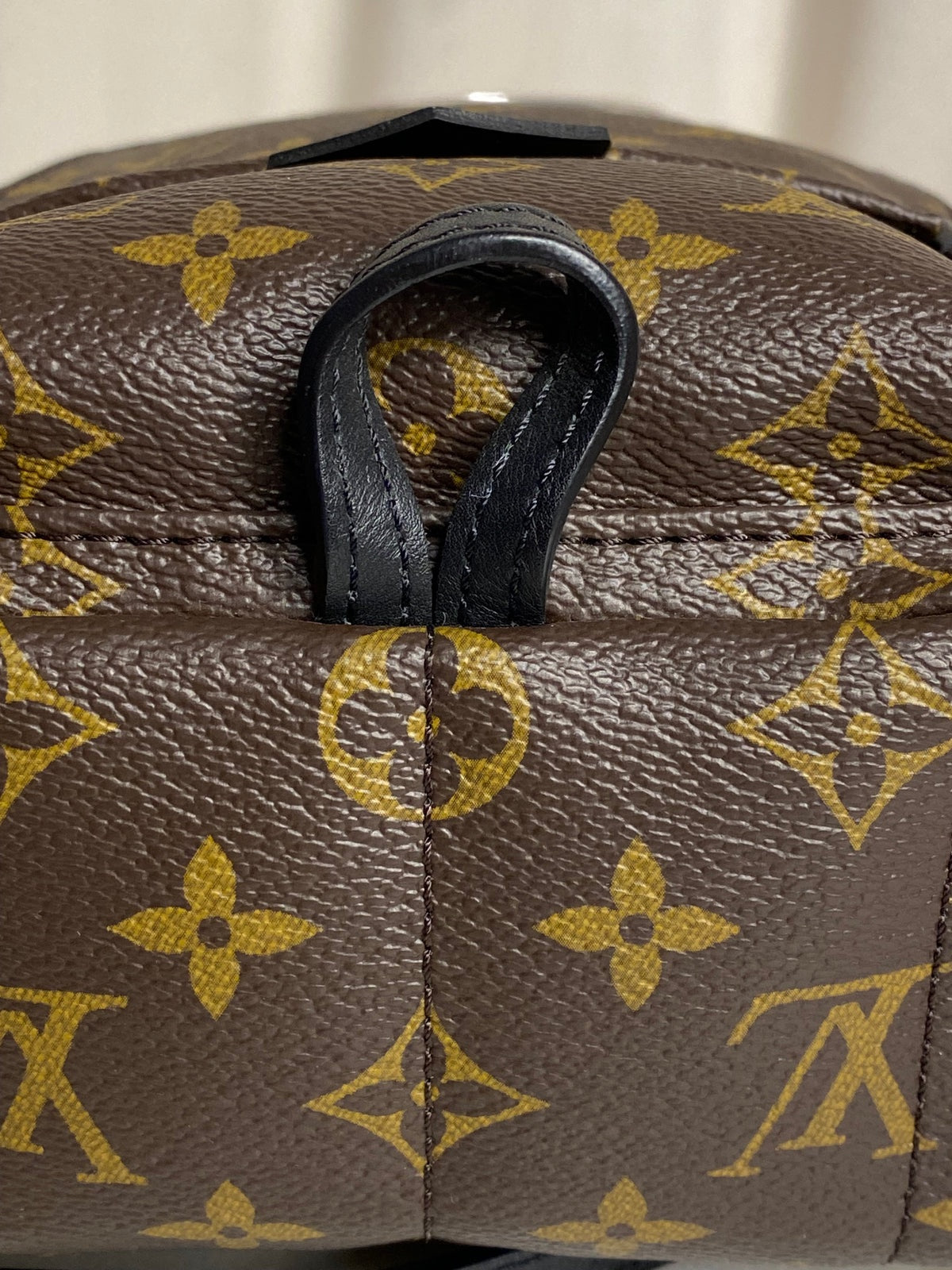 Louis Vuitton Palm Springs Mini backpack in monogram canvas