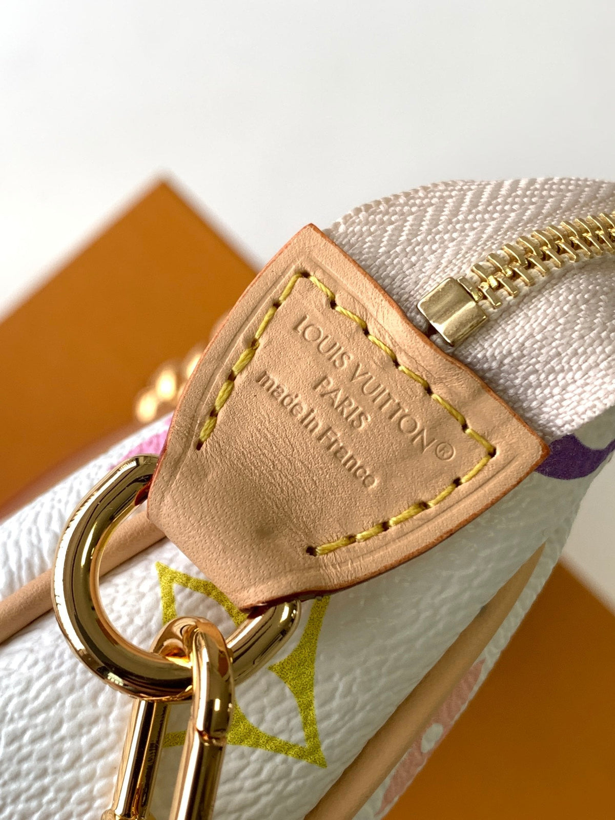 POCHETTE ACCESSOIRES BAG 22 IN MULTICOLOR MONOGRAM CANVAS AND COWHIDE